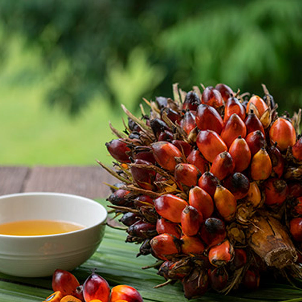 Palmfett Bio RSPO
